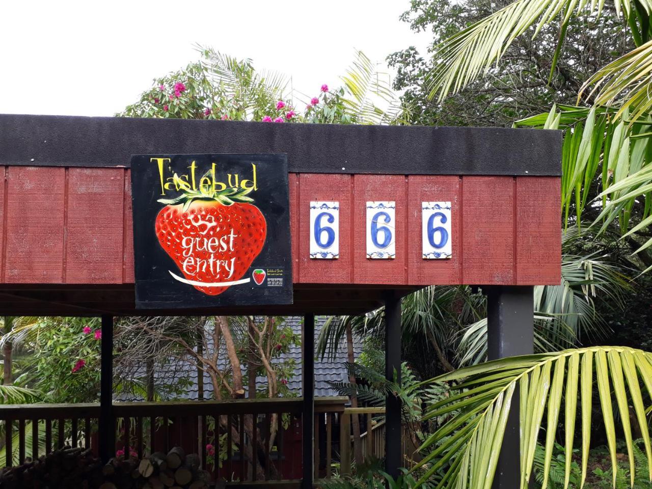 Tastebuds Bed N Breakfast オークランド エクステリア 写真